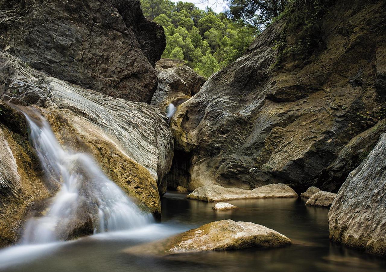 Готель Camping Bassegoda Park Albanya Екстер'єр фото